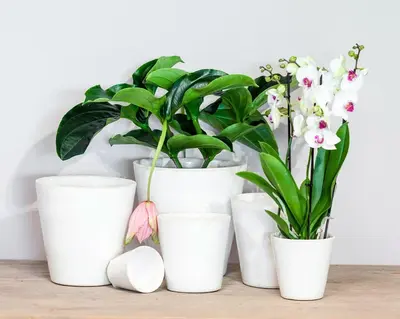 Floran Bloempot Luz 15x15cm Wit - afbeelding 2