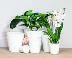 Floran Bloempot Luz 15x15cm Wit - afbeelding 2