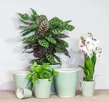 Floran Bloempot Luz 18x18cm Groen - afbeelding 2