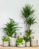 Floran Bloempot Noah 16x15cm Bruin - afbeelding 2