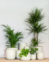Floran Bloempot Noah 16x15cm Creme - afbeelding 2