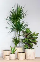 Floran Bloempot Porches 12x12cm Geel - afbeelding 2