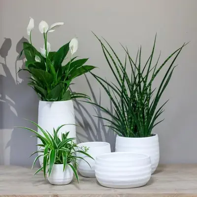Floran boot Lena 31x17x21cm wit mat - afbeelding 2