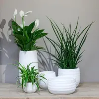 Floran boot Lena 31x17x21cm wit mat - afbeelding 2