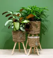 Floran plantenmand Banana op poten 26x45cm - afbeelding 2