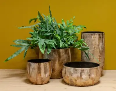 Floran Pot madeira 14x13cm goud - afbeelding 2