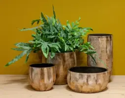 Floran Pot madeira 14x13cm goud - afbeelding 2