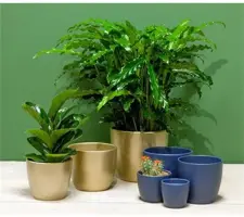 Floran schaal Boule 18.5x8.5cm parel goud - afbeelding 2