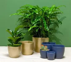 Floran schaal Boule 22.5x9.5cm parelgoud - afbeelding 2