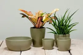 Floran schaal Boule 24.5x9.5cm legergroen mat - afbeelding 2