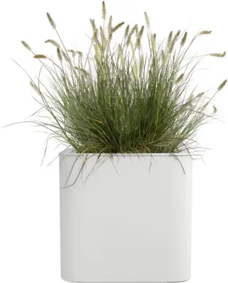 Florus plantenbak Jive vierkant 40cm Wit - afbeelding 2