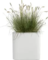 Florus plantenbak Jive vierkant 40cm Wit - afbeelding 2
