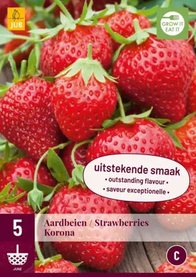 Fragaria korona 5 stuks - afbeelding 1