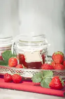 Fragaria x ananassa (Aardbei) - afbeelding 14