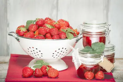 Fragaria x ananassa (Aardbei) - afbeelding 15