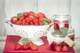 Fragaria x ananassa (Aardbei) - afbeelding 15