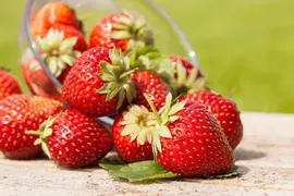 Fragaria x ananassa (Aardbei) - afbeelding 28