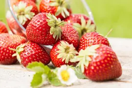 Fragaria x ananassa (Aardbei) - afbeelding 31