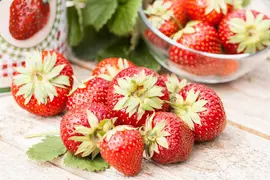 Fragaria x ananassa (Aardbei) - afbeelding 35