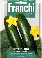 Franchi sementi zaden Augurk, cetriolino beth alpha - afbeelding 1
