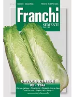 Franchi sementi zaden Bladkool, Cavolo Cinese Pe-Tsai - afbeelding 1