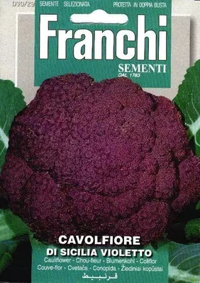 Franchi sementi zaden bloemkool, cavolfiore sicilia violetto - afbeelding 1