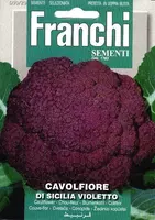 Franchi sementi zaden bloemkool, cavolfiore sicilia violetto - afbeelding 1