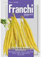 Franchi sementi zaden Boon, Fagiolo Nano berggold - afbeelding 1