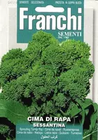 Franchi sementi zaden broccoletto, cima di rapa sessantina - afbeelding 1