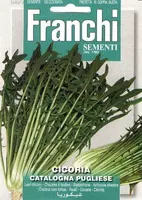 Franchi sementi zaden cichorei, cicoria catalogna pugliese - afbeelding 1