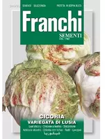 Franchi sementi zaden Cichorei, Cicoria var.di Lusia kopen?