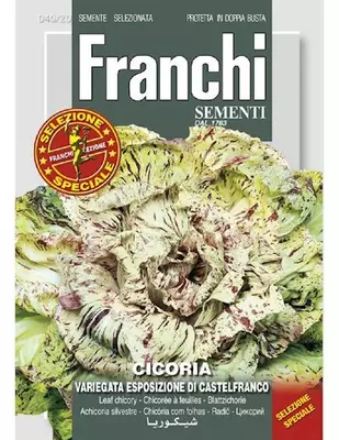 Franchi sementi zaden Cichorei, Cicoria var esp Castelfranco - afbeelding 1