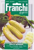 Franchi sementi zaden komkommer, cetriolo white wonder - afbeelding 1