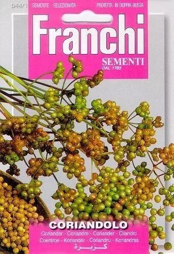 Franchi sementi zaden koriander, coriandolo - afbeelding 1