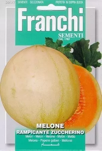 Franchi sementi zaden meloen, melone rampicante zuccherino - afbeelding 1