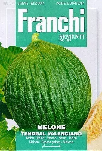 Franchi sementi zaden meloen, melone tendral valenciano - afbeelding 1