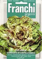 Franchi sementi zaden radicchio, cicoria castelfranco - afbeelding 1