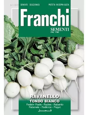 Franchi sementi zaden Radijs, Ravanello Tondo Bianco - afbeelding 1