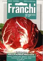 Franchi sementi zaden roodlof, cicoria palla rossa precoce - afbeelding 1