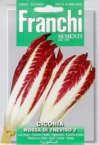 Franchi sementi zaden roodlof, cicoria rossa di treviso - afbeelding 1