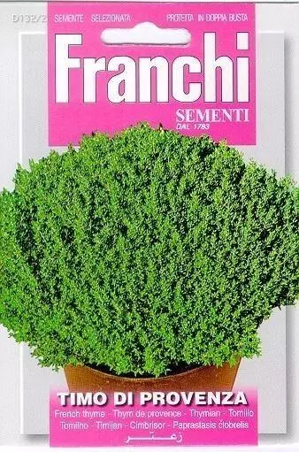 Franchi sementi zaden tijm, timo di provenza - afbeelding 1