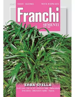 Franchi sementi zaden Weegbree Erba Stella - afbeelding 1