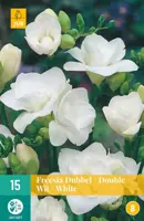 Freesia dubbel wit/white 15 stuks kopen?