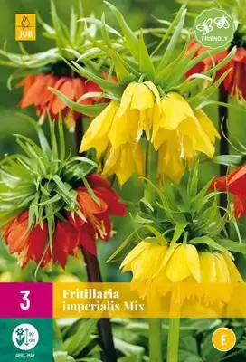 Fritillaria imperialis mix 3 stuks - afbeelding 2