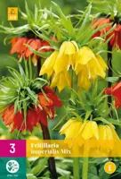 Fritillaria imperialis mix 3 stuks - afbeelding 1