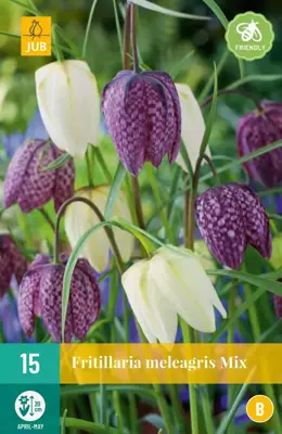 Fritillaria meleagris mix 15 stuks - afbeelding 1
