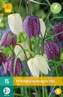Fritillaria meleagris mix 15 stuks kopen?