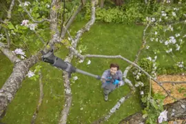 Gardena Accu-telescooptakkenschaar HighCut - afbeelding 8