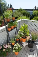 Gardena city gardening balcony vakantiebewateringsset - afbeelding 3