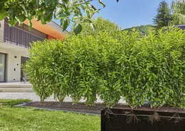 Gardena Druppelbuis (Onder & Bovengronds)  50m – Voor struiken en Hagen  - afbeelding 3